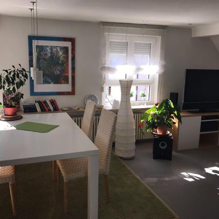 Casa Christina Daire Orschweier Dış mekan fotoğraf