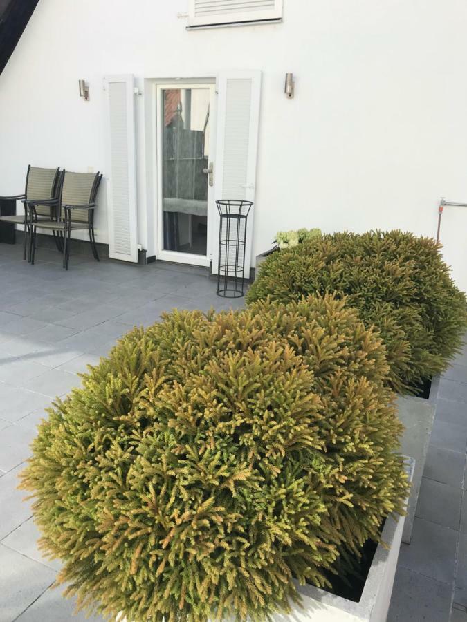 Casa Christina Daire Orschweier Dış mekan fotoğraf